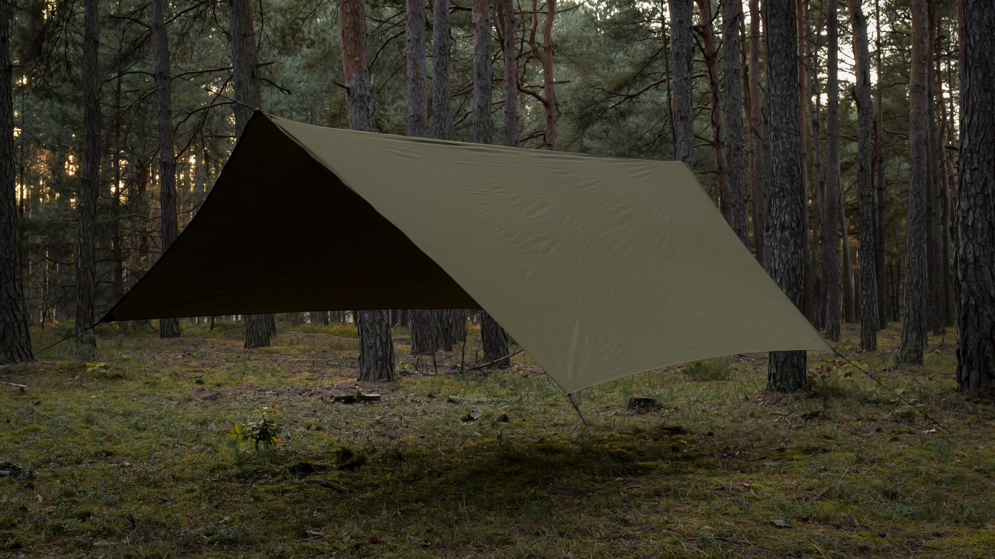Prelată de camping TigerWood Termo Tarp T2 StingRay 3,6 x 2,8 m - Khaki