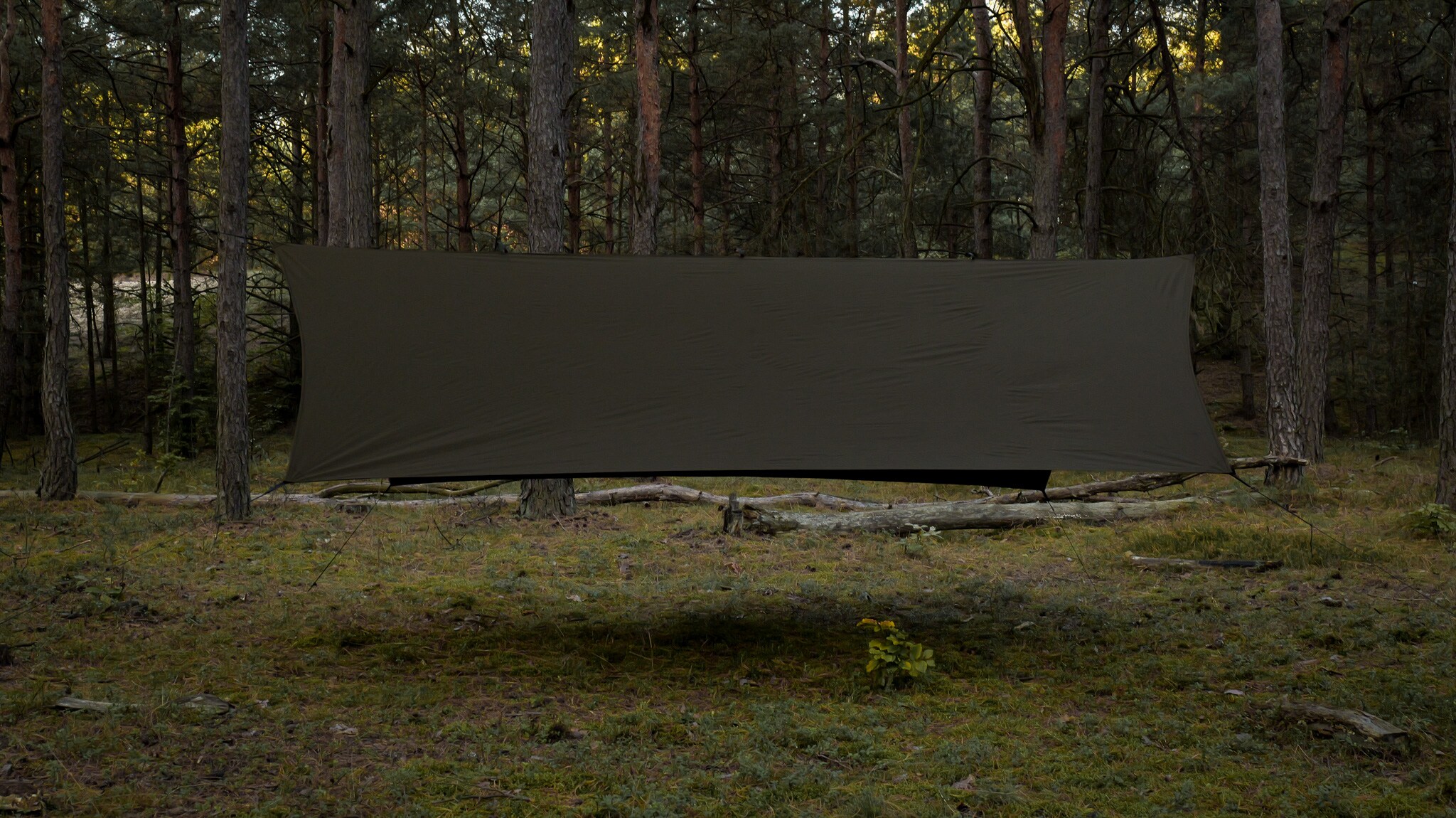 Prelată de camping TigerWood Termo Tarp T2 StingRay 3,6 x 2,8 m - Dark Khaki