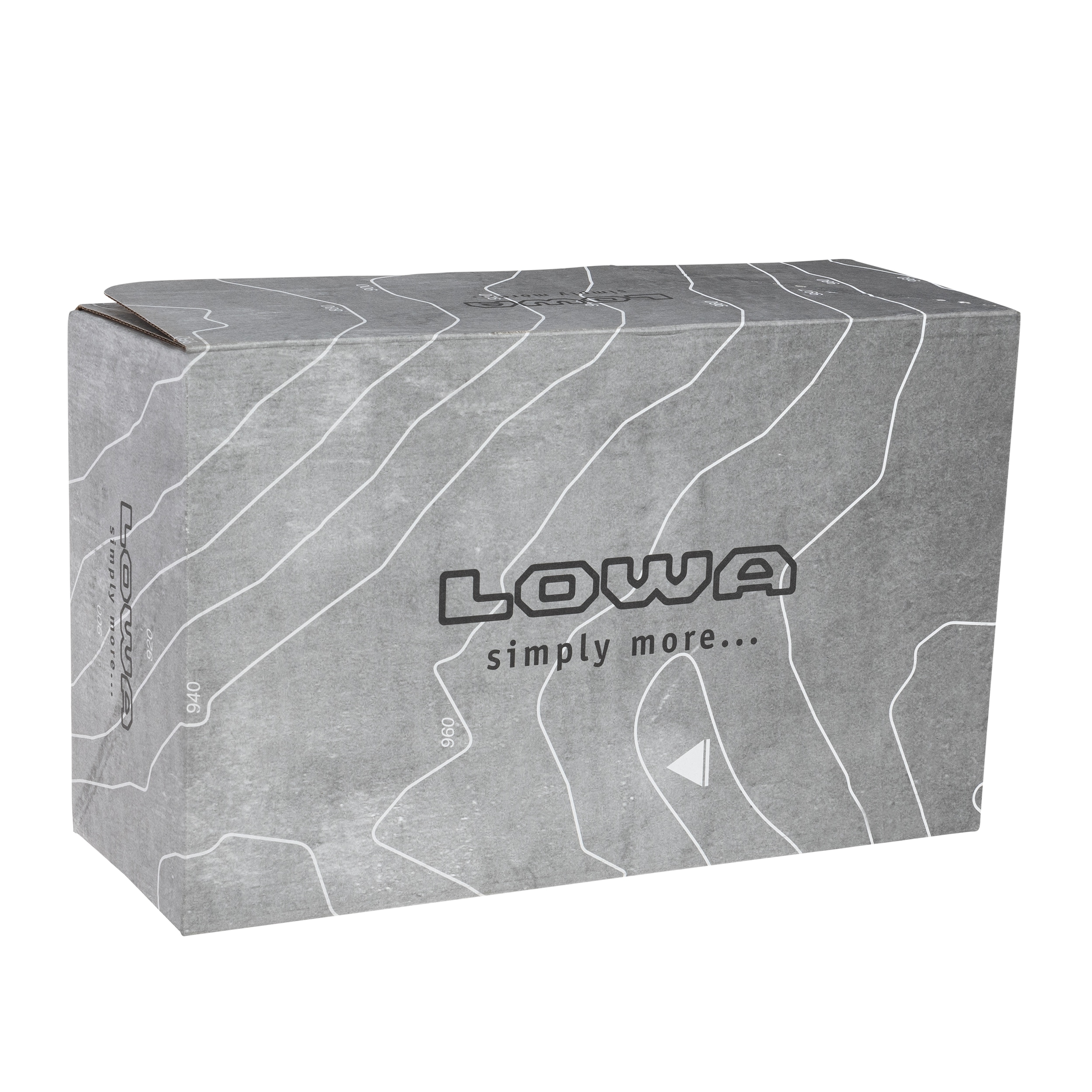 Încălțăminte Lowa Renegade EVO GTX LOW - Black