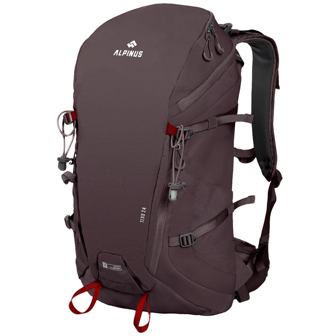 Rucsac Alpinus Teno 24 l - Gri