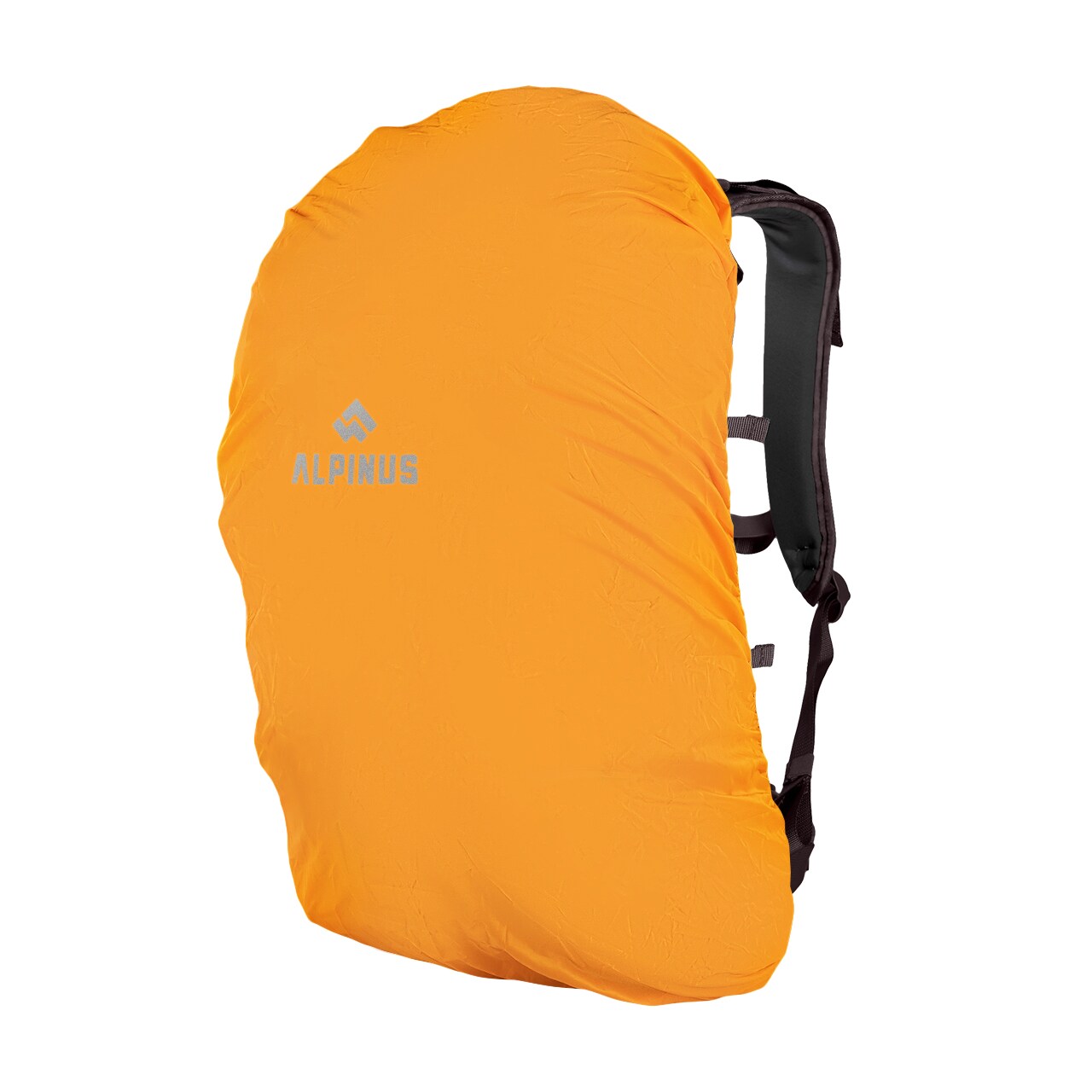 Rucsac Alpinus Teno 24 l - Gri