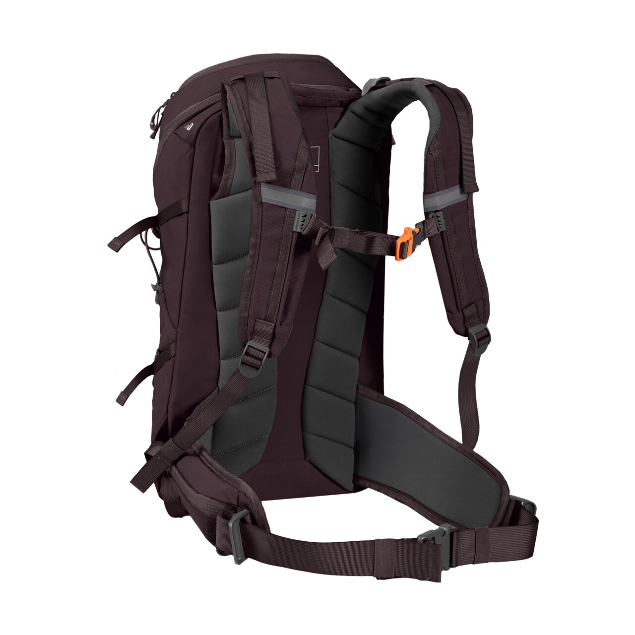 Rucsac Alpinus Teno 24 l - Gri