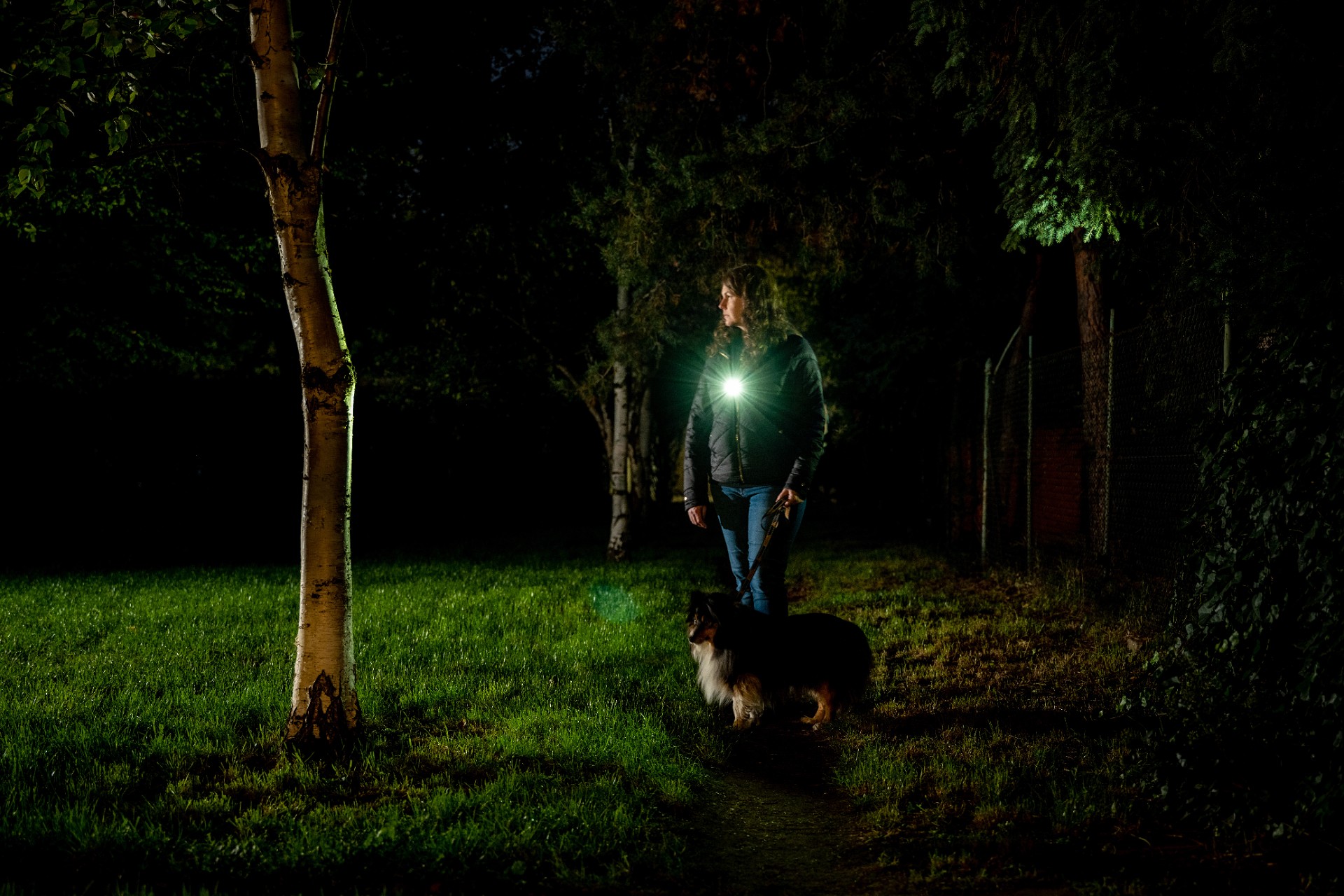 Lanternă cu acumulator Olight Oclip Pro Fortune Snake Special Edition - 500 lumeni