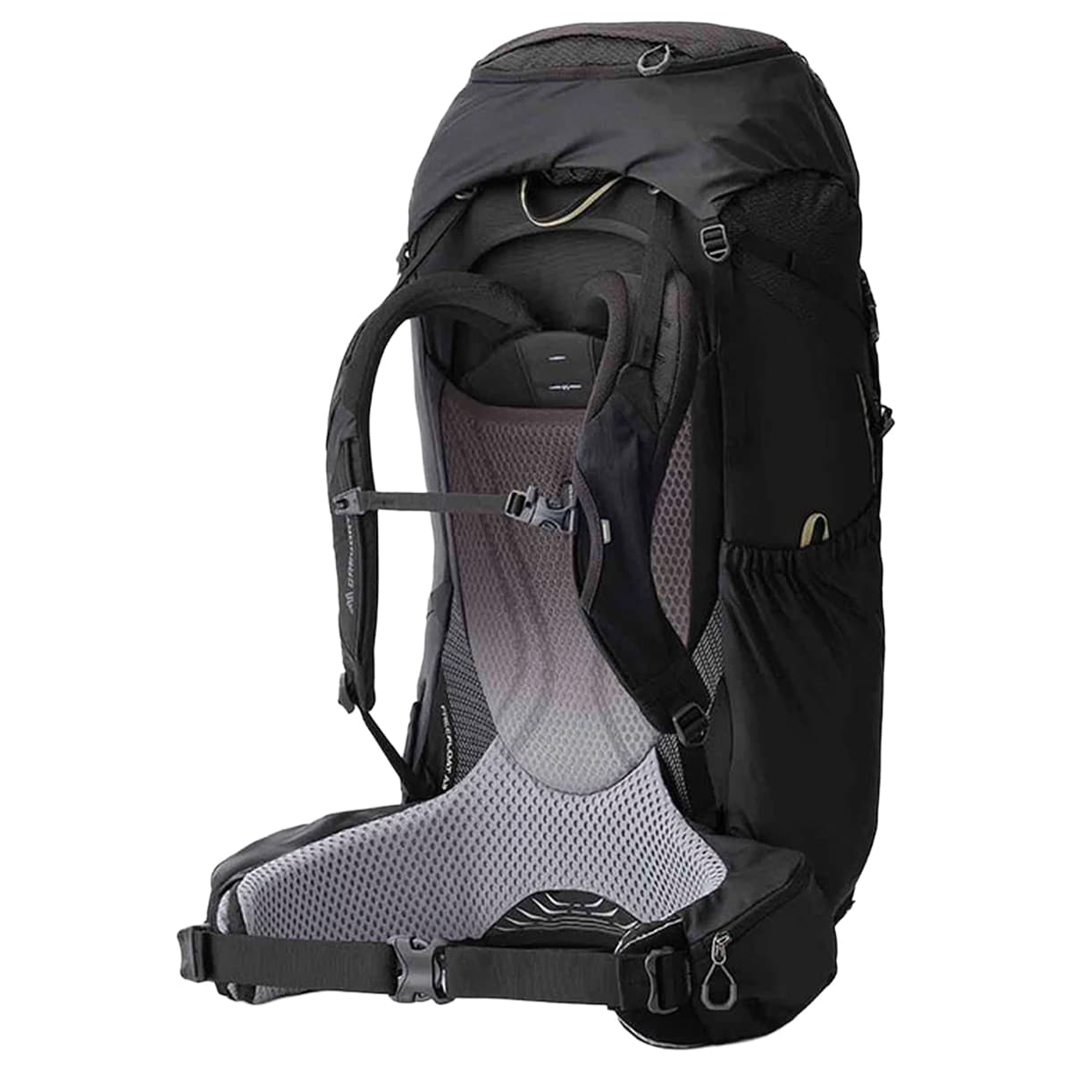 Rucsac Gregory Baltoro L RC 75 l - Shadow Pine Black