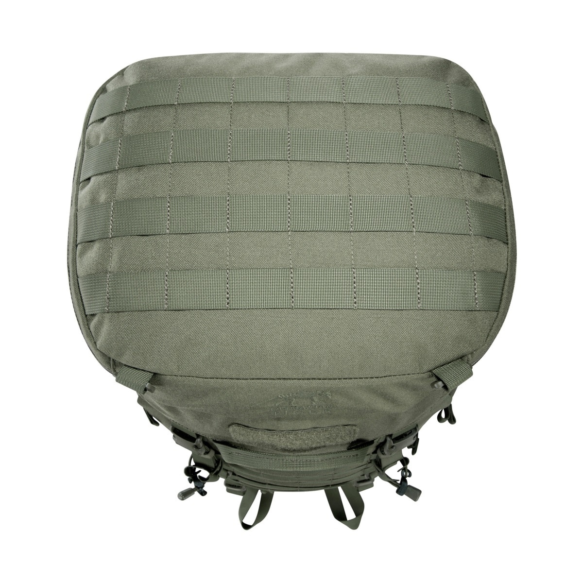 Rucsac Tasmanian Tiger Base Pack FO 60 l - Olive