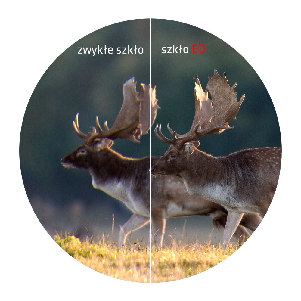 Binoclu Delta Optical Titanium 8x56 ED