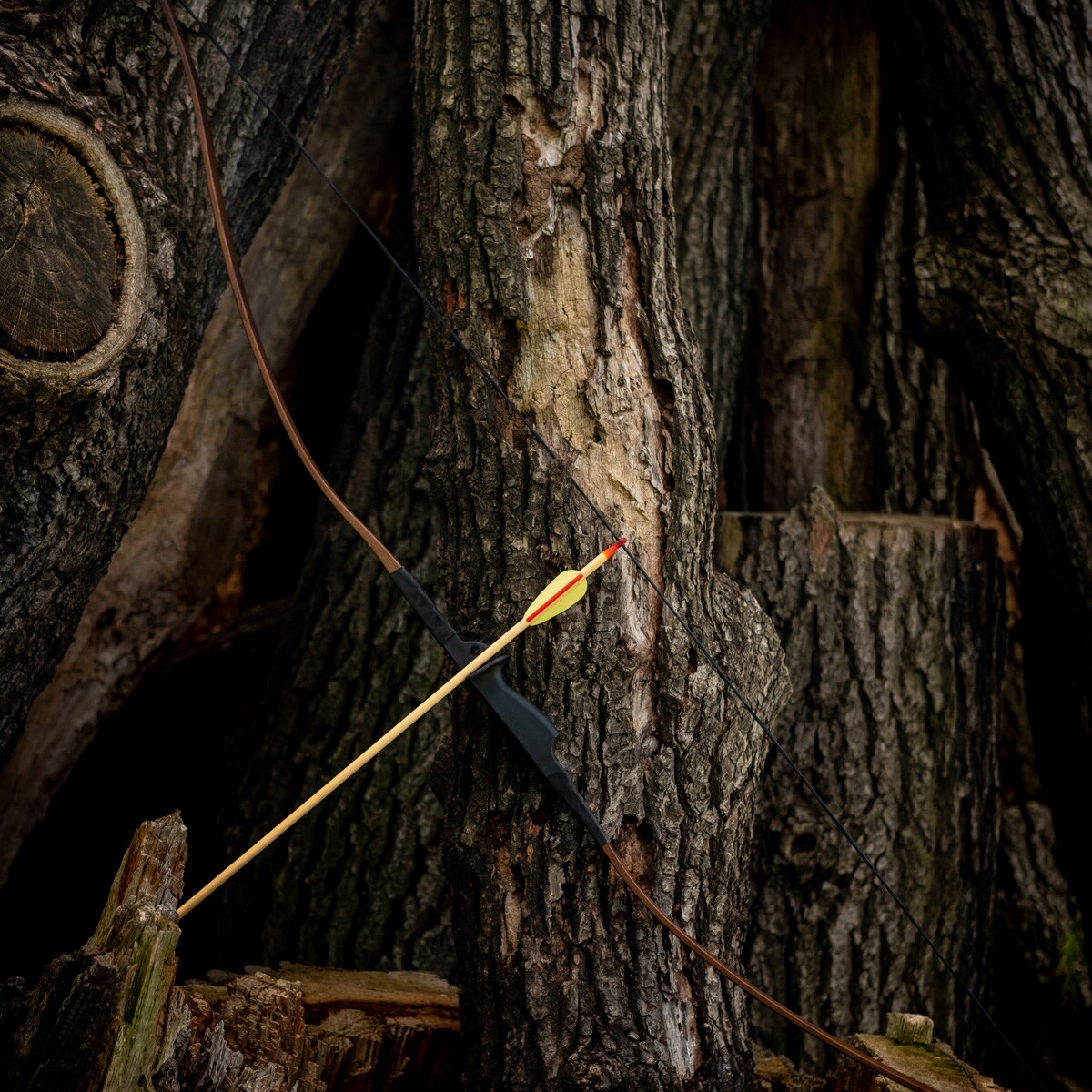 Arc clasic Poe Lang Robin Hood longbow - Wooden - set