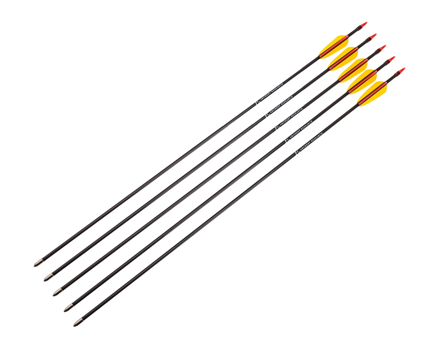 Săgeți Poe Lang din fibră de sticlă 30