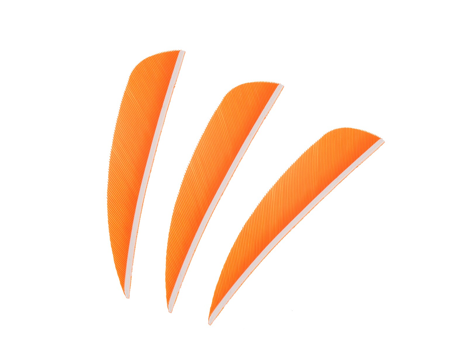 Pene pentru săgeți Poe Lang 3