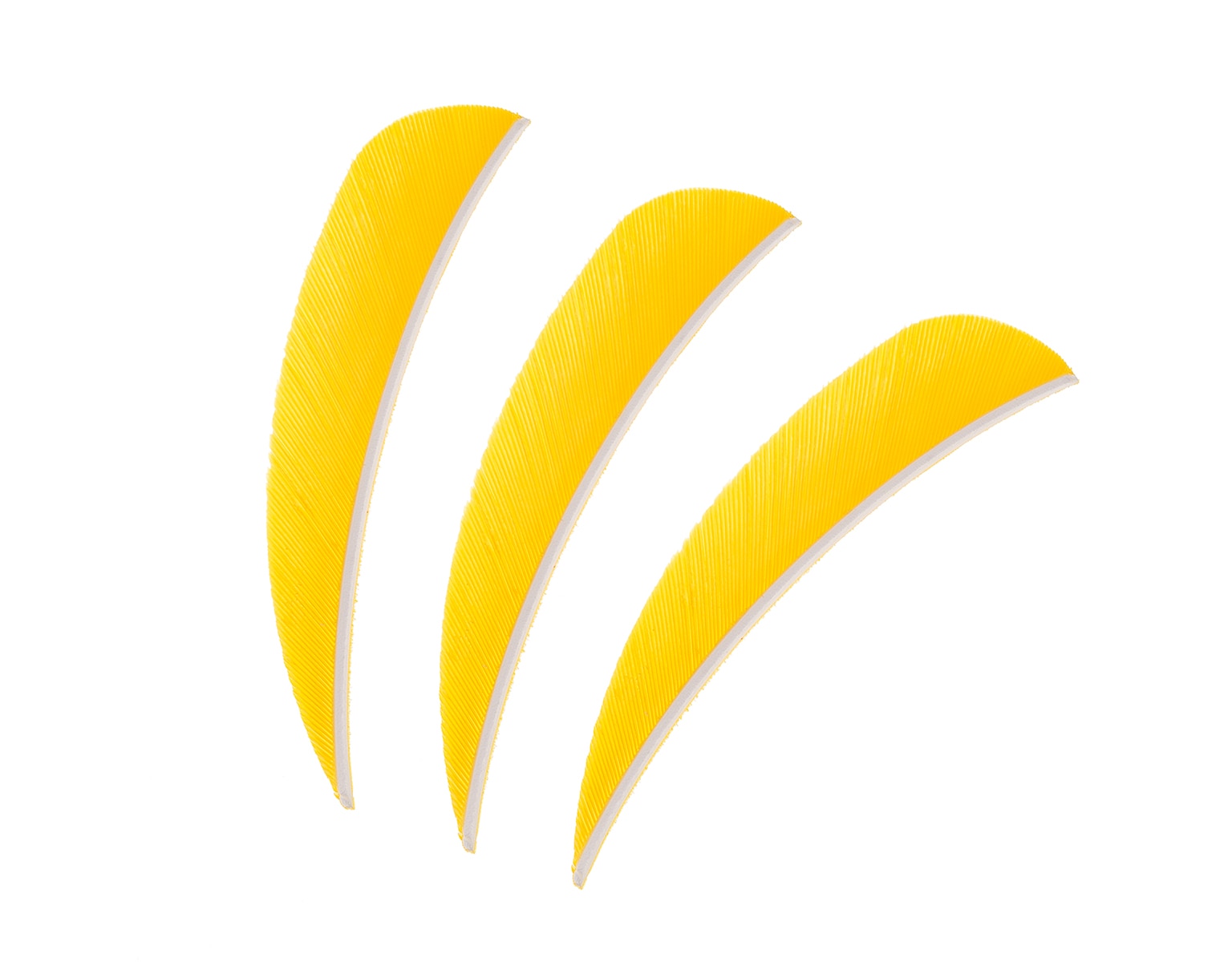 Pene pentru săgeți Poe Lang 3