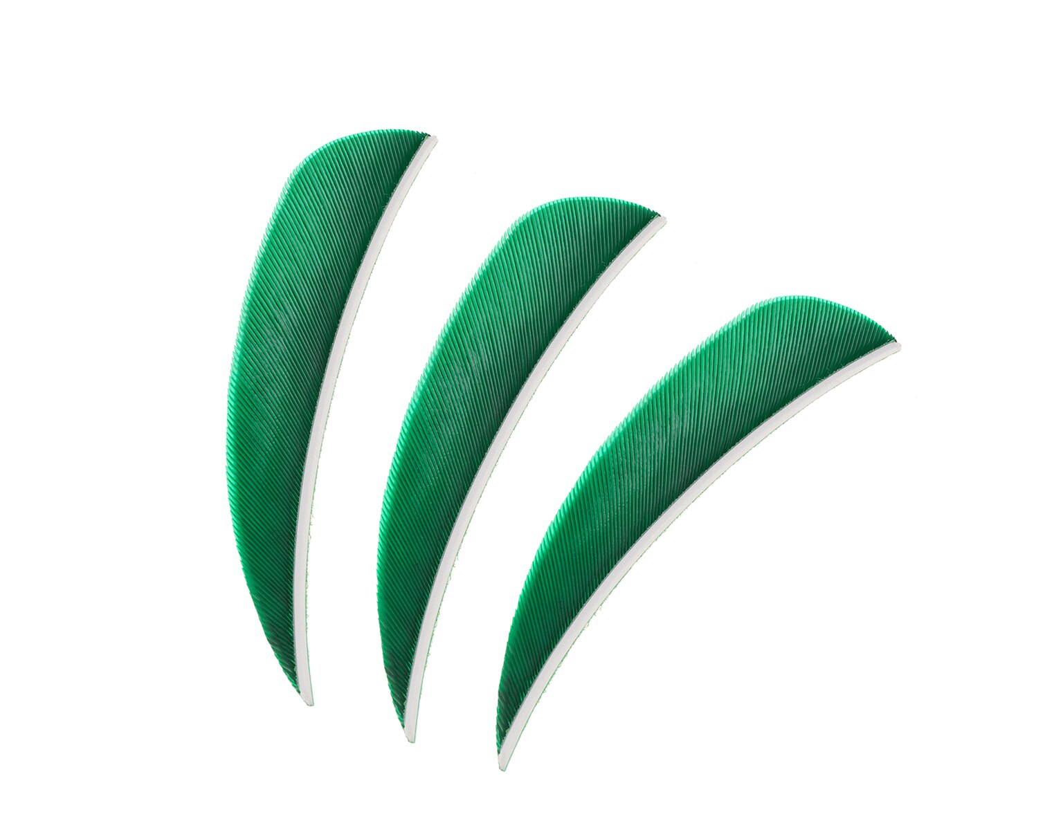 Pene pentru săgeți Poe Lang 3