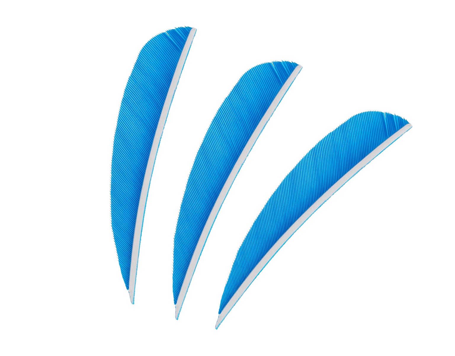 Pene pentru săgeți Poe Lang 3