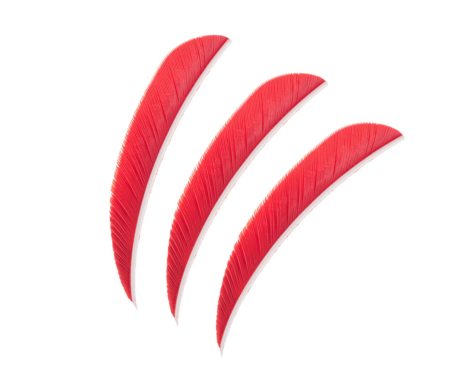 Pene pentru săgeți Poe Lang 4