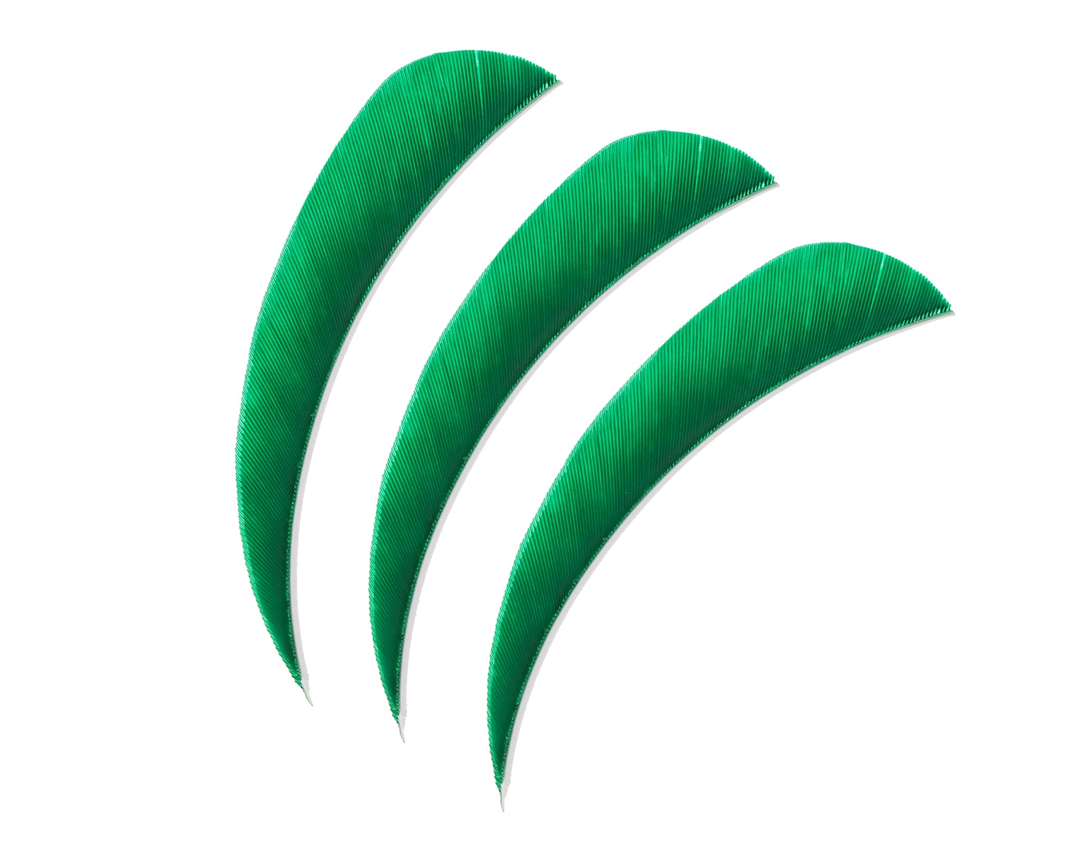 Pene pentru săgeți Poe Lang 4