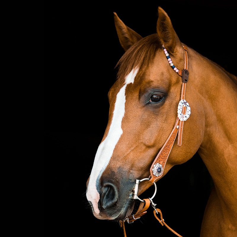 Dispozitiv pentru protecție ultrasonică împotriva căpușelor TickLess Horse - pentru caii - Brown