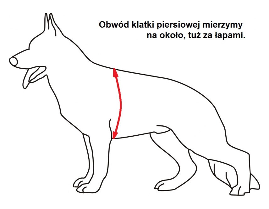 Vestă reflectorizantă pentru câine K9 Thorn Orange S - câine mic