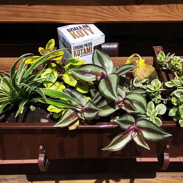 Repelent Kunagone pentru pisici