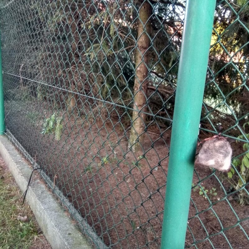 Repelent Kunagone pentru mistreți