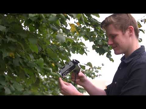 Microscop Carson Microflip LED 100-250x