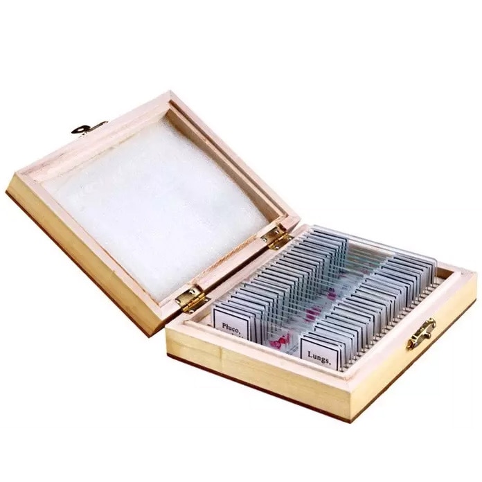 Preparate biologice de microscop Opticon - Anatomie umană