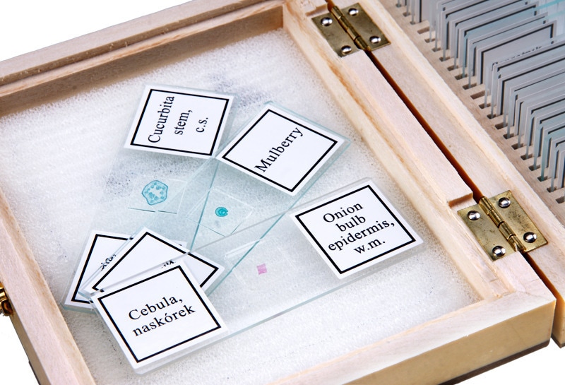 Preparate biologice de microscop Opticon - Botanică