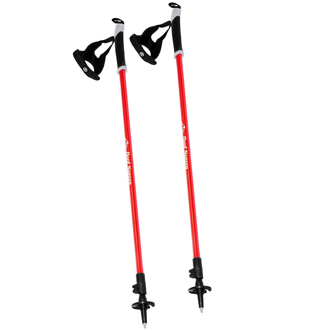 Bețe Nordic Walking Fjord Nansen Nordic Pro II