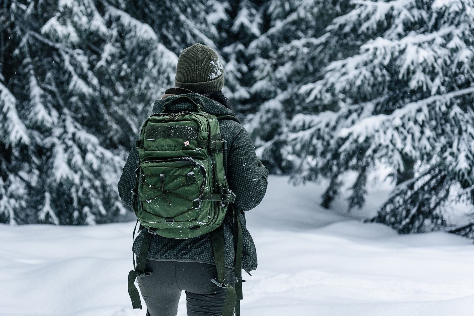 Rucsac Wisport Sparrow 303 30 l - Olive Green