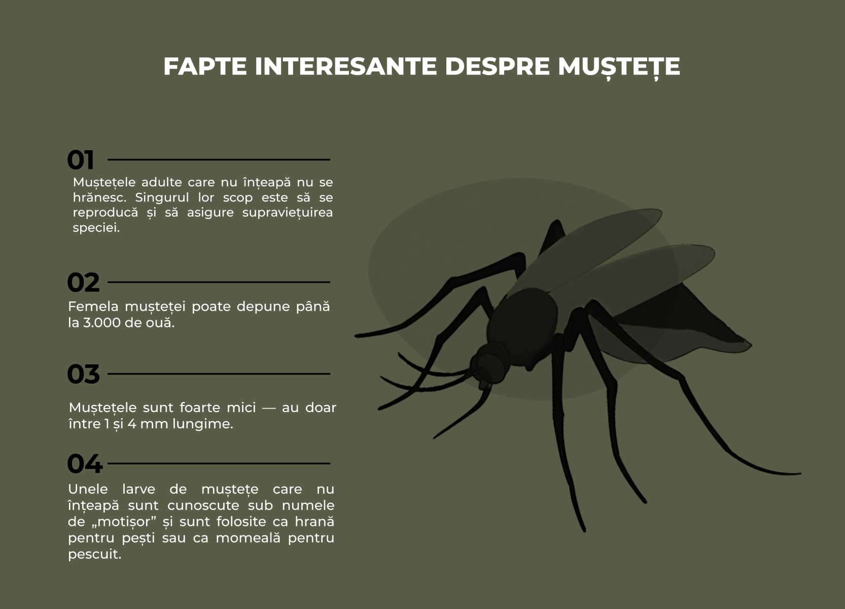 Infografic despre țânțarii minuscule