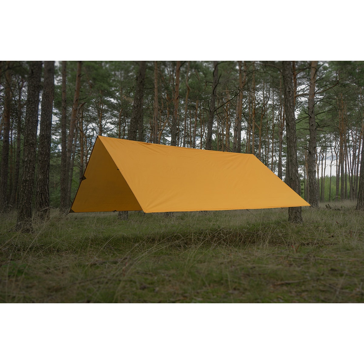 Тент для кемпінгу TigerWood Termo Tarp 3 x 4 м - Hunter 
