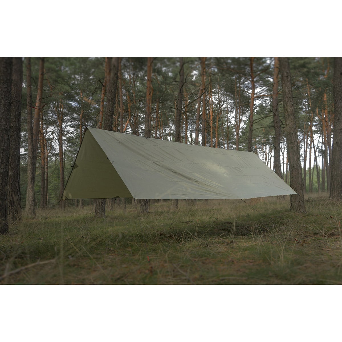 Тент для кемпінгу TigerWood Termo Tarp 3x3 - Olive