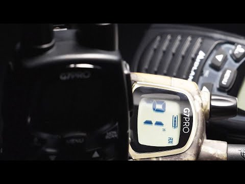 Радіостанція Midland G7 Pro PMR - чорний - 2 шт.