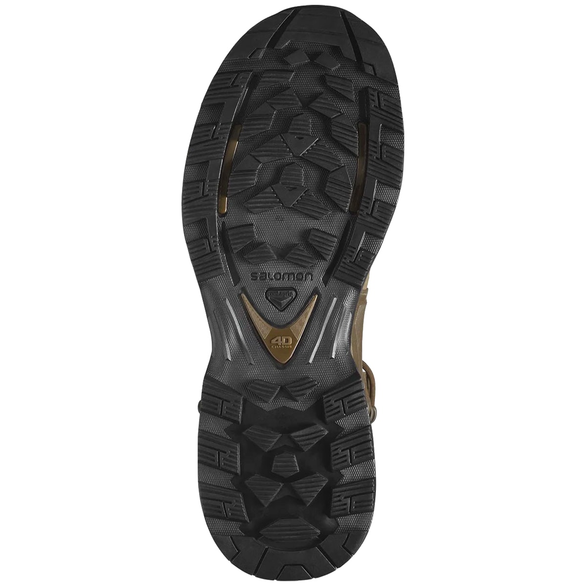 Черевики Salomon Quest 4D GTX Forces 2 High EN - Earth Brown