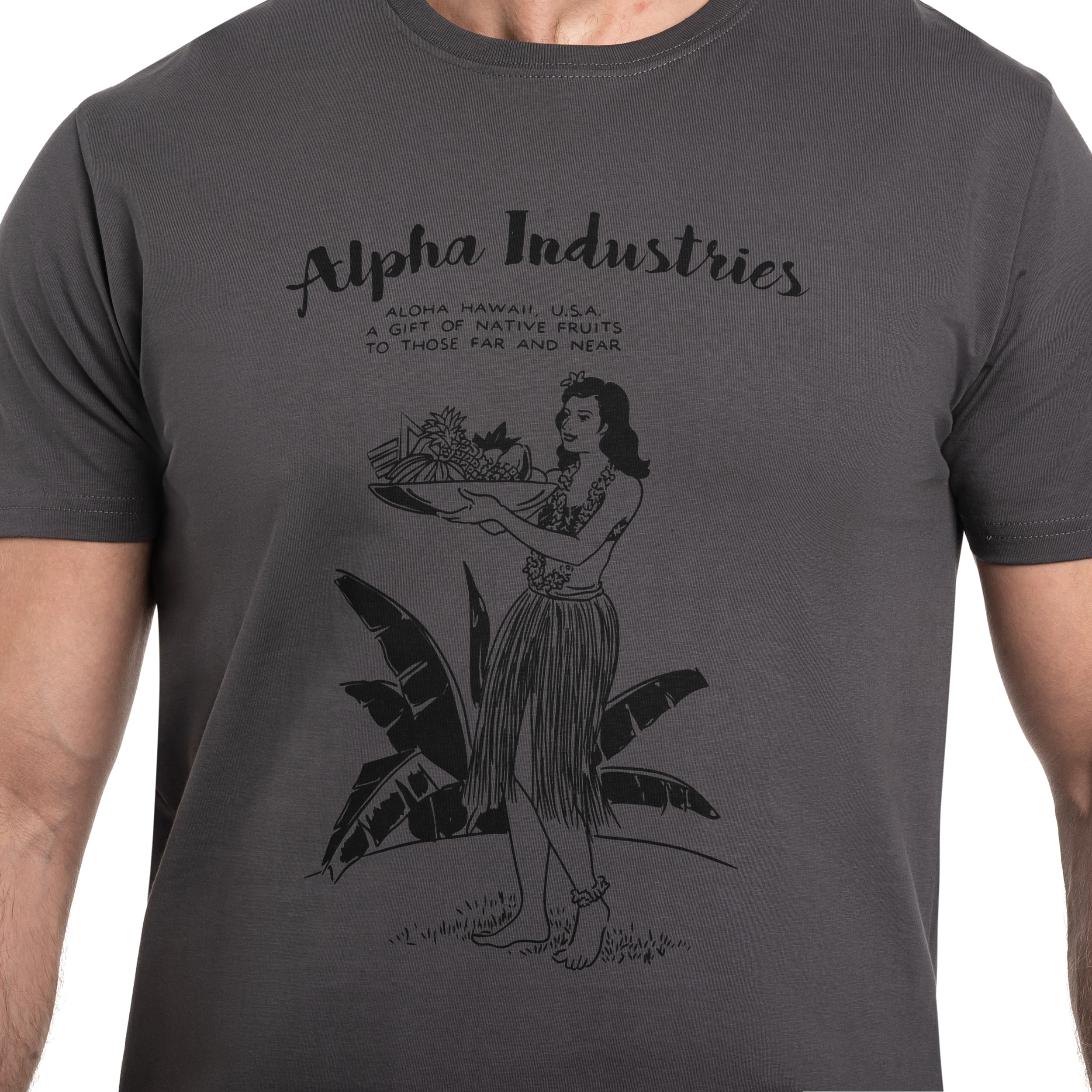 Футболка T-shirt Alpha Industries Hawaii - Vintage Grey