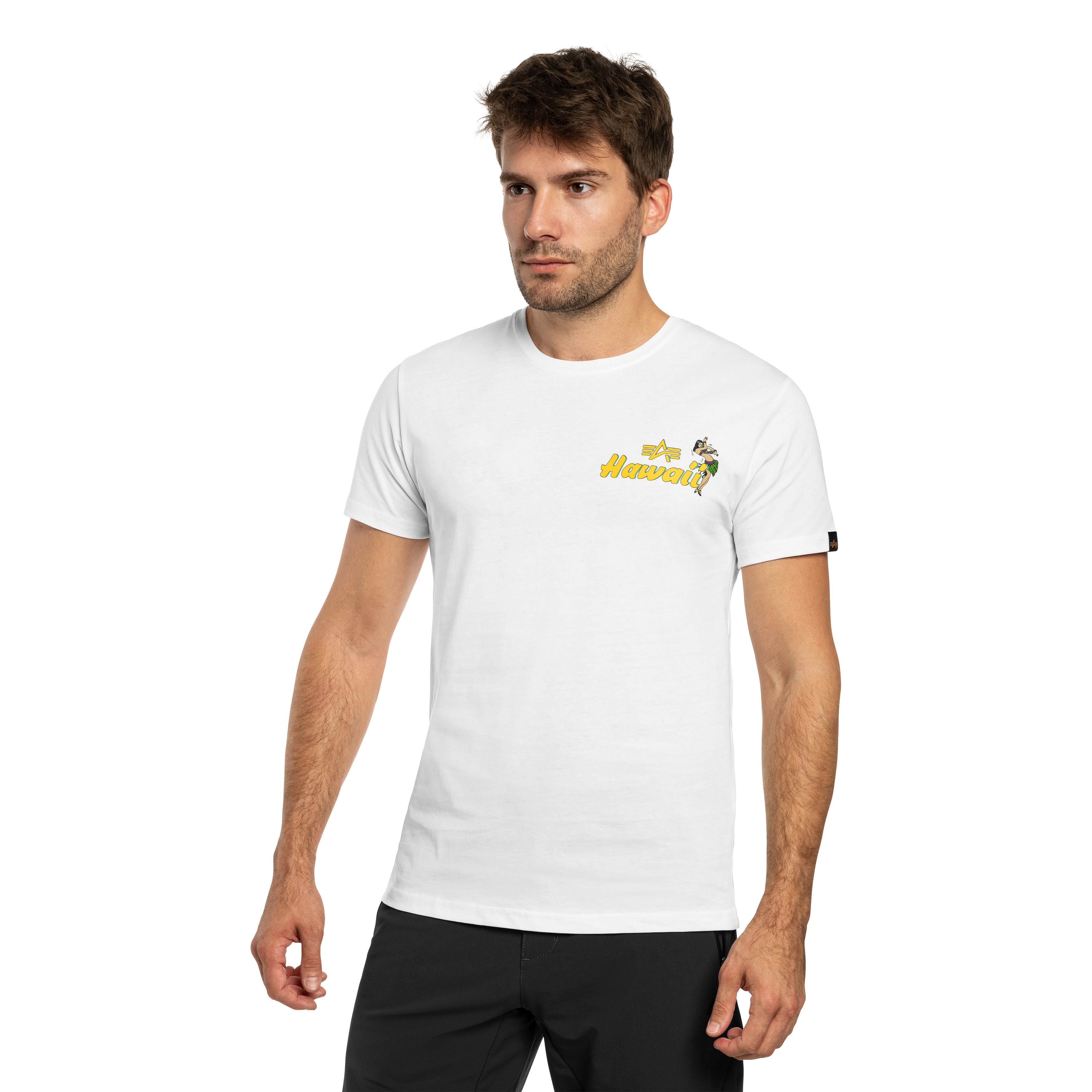 Футболка T-Shirt Alpha Industries Pearl Harbor Back Print - White