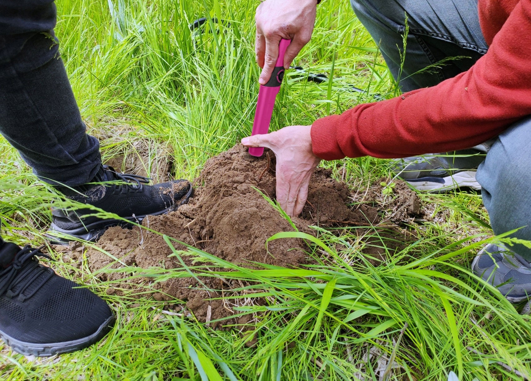 Ручний металошукач Cobra Tector CT-1079 - Pink