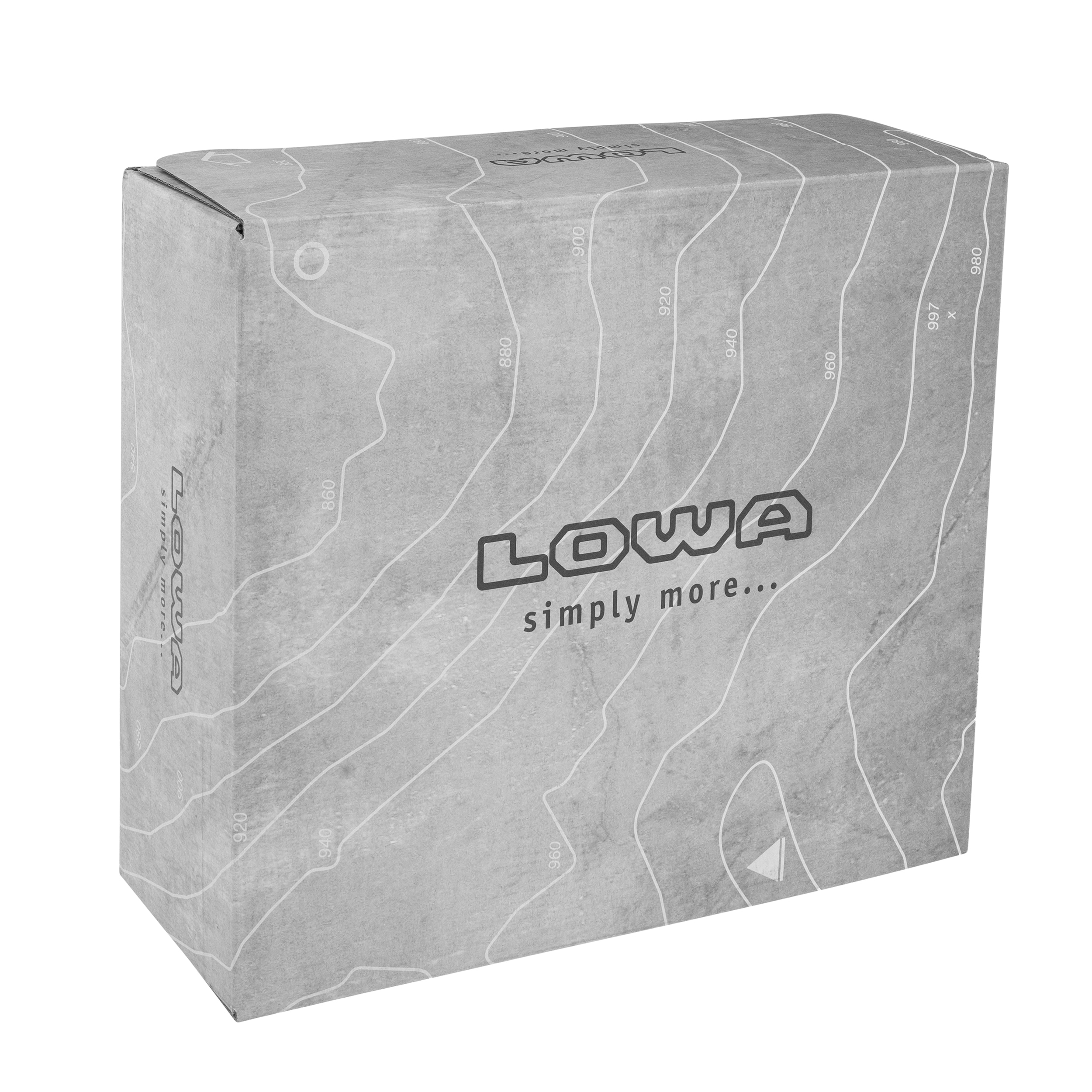 Черевики Lowa Renegade EVO GTX MID - Smoke Green/Grey