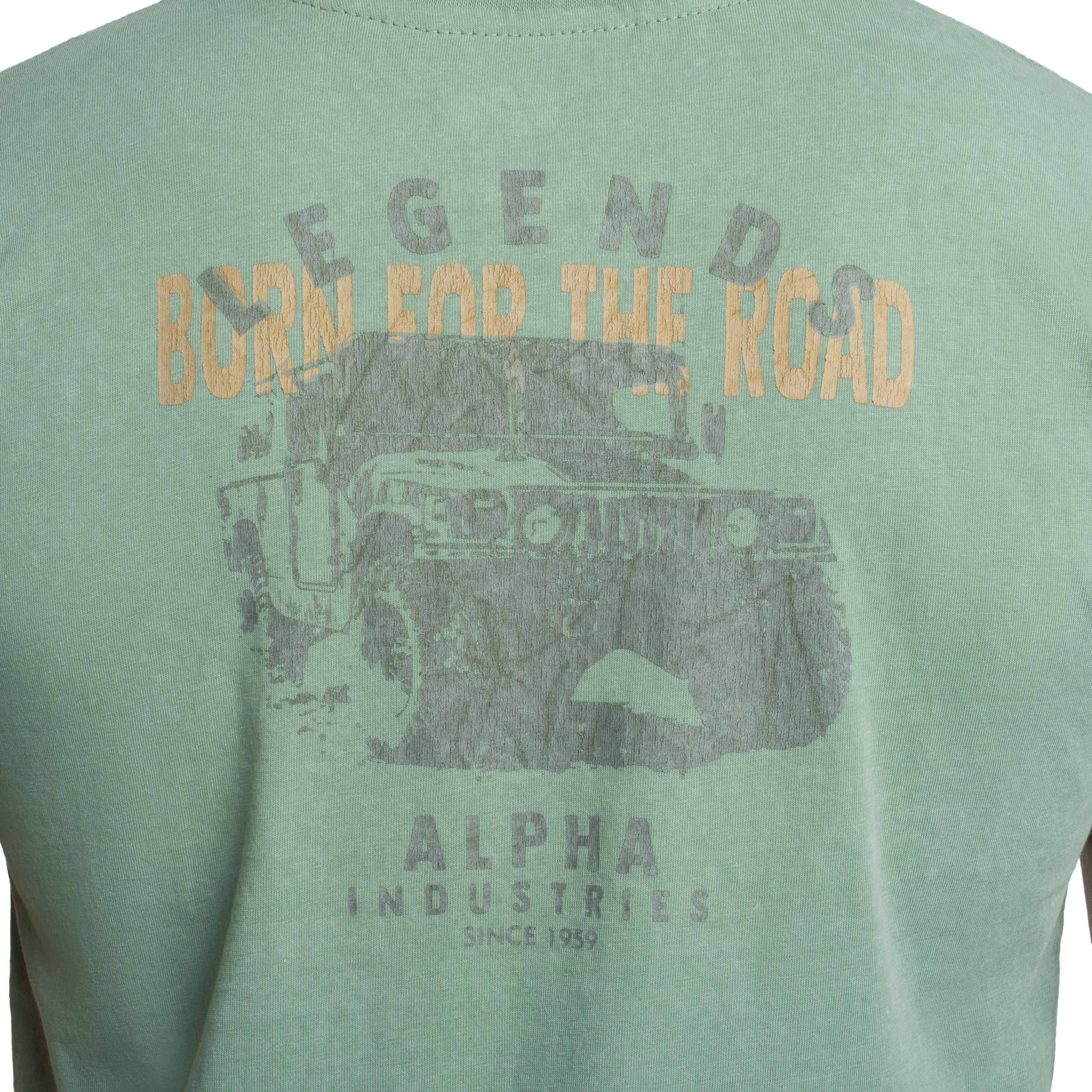 Футболка T-Shirt Alpha Industries Legend - Frost Green