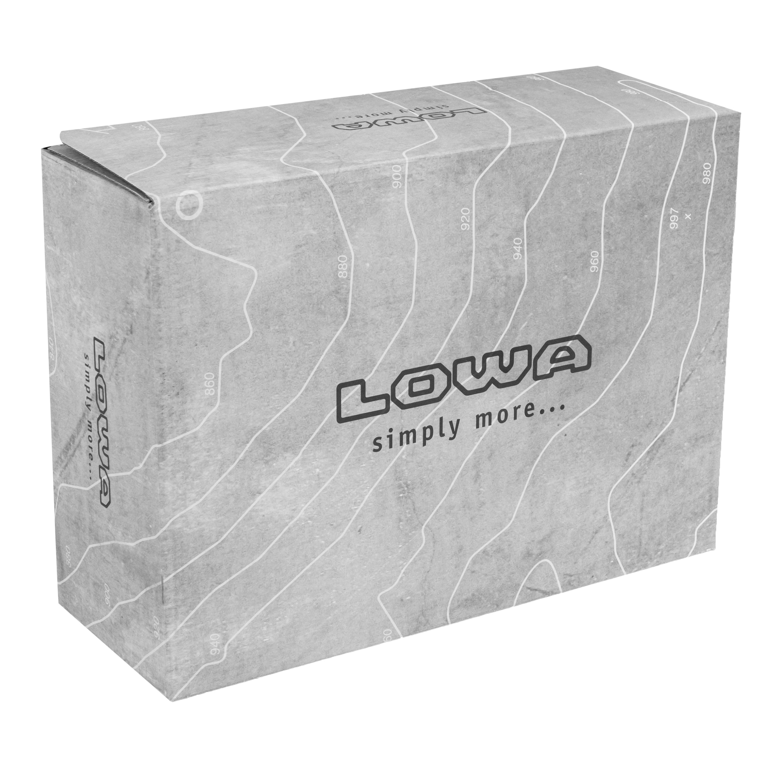 Жіночі черевики Lowa Renegade EVO GTX MID - Sage
