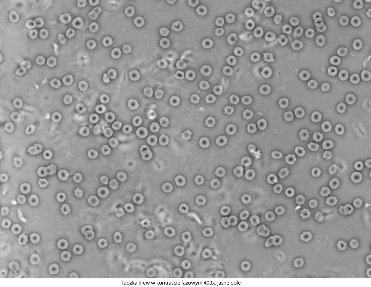 Мікроскоп Delta Optical Genetic Pro Mono з акумуляторною батареєю