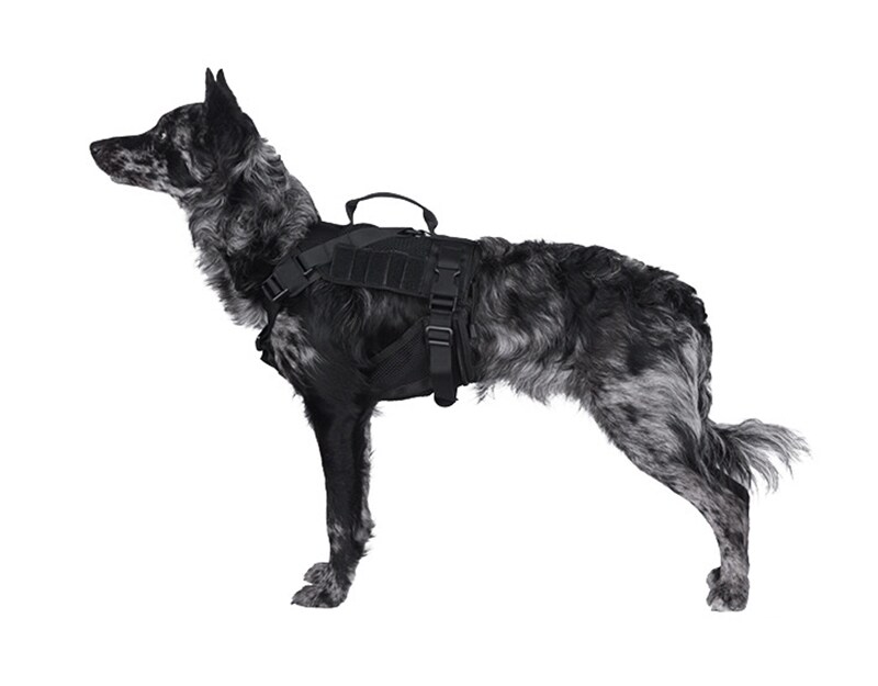 Тактична шлейка для собак Primal Gear - чорна