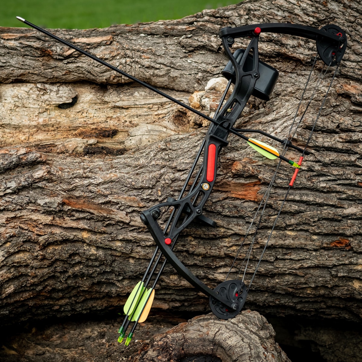 Poe Lang Buster Draw Bow Black