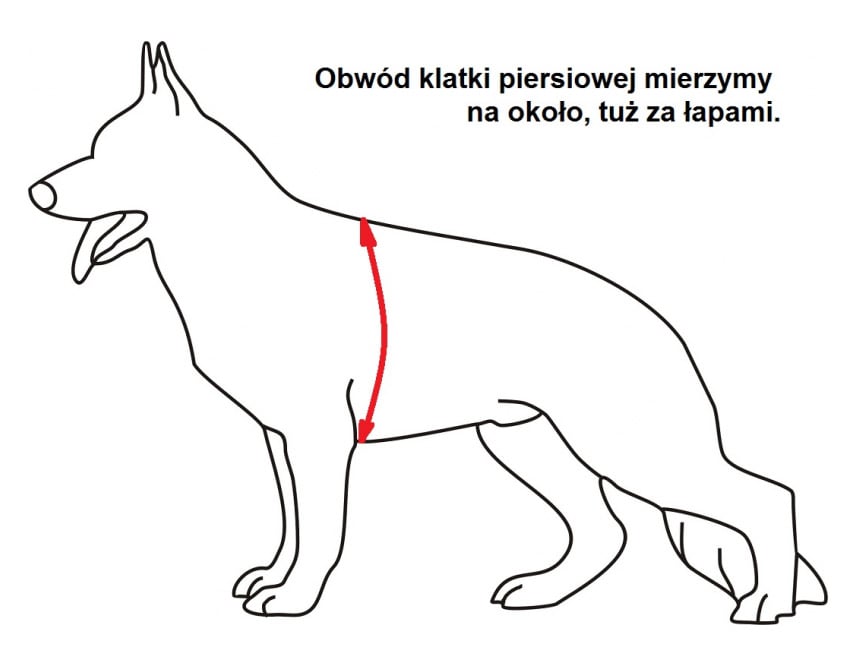 Шлейка для собак K9 колючка Alpha Olive - середня собака