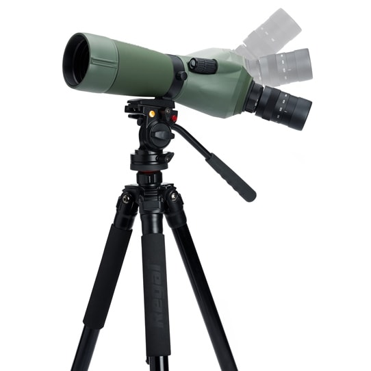 Підзорна труба Celestron Regal M2 65ED 16-48x65 