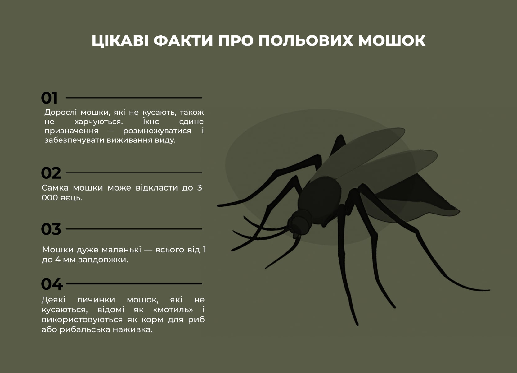 Мольці-інфографіка